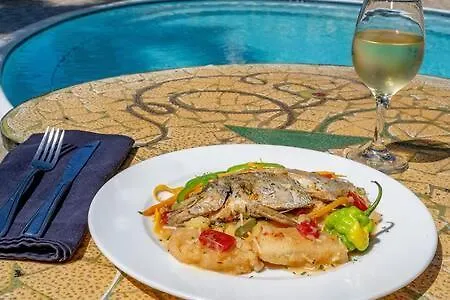Hospitality Expert Mmc - Fun Pool Bar & Beach Montego Bay Jamaica